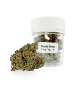 Biscotti Mintz 31% THCA